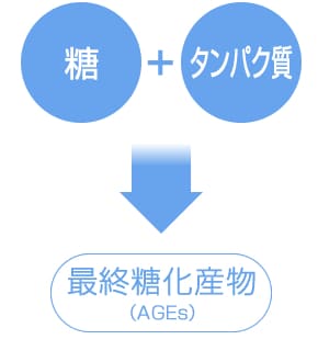 糖＋タンパク質→最終糖化産物（AGEs）