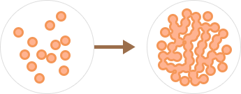 Image Of Adipose-Derived Stem Cell